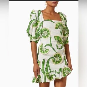 Alexis short green and white dress